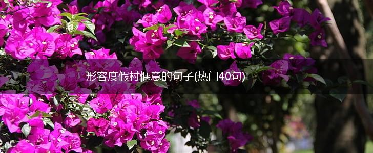 形容度假村惬意的句子(热门40句),第1张