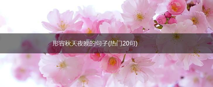 形容秋天夜晚的句子(热门20句),第1张