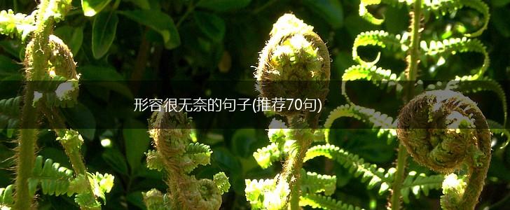 形容很无奈的句子(推荐70句),第1张