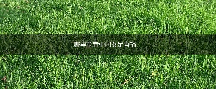 哪里能看中国女足直播,第1张
