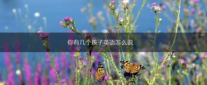 你有几个孩子英语怎么说,第1张