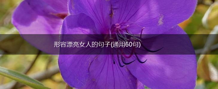 形容漂亮女人的句子(通用60句),第1张