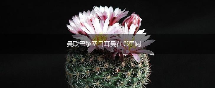 曼联巴黎圣日耳曼在哪里踢,第1张