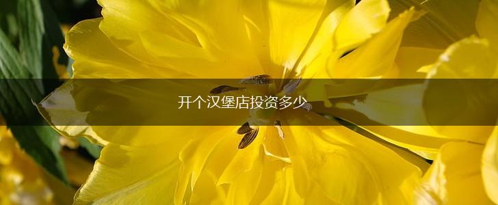 开个汉堡店投资多少,第1张