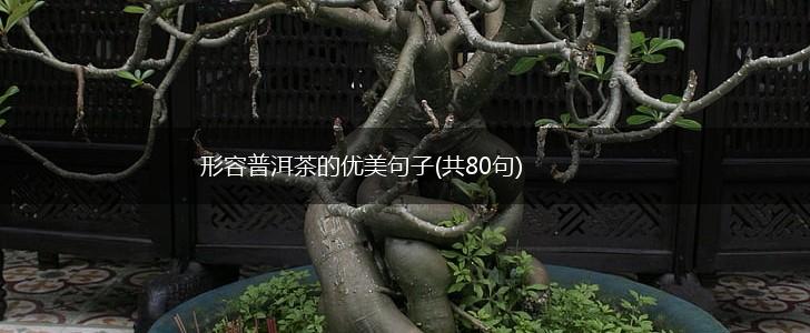 形容普洱茶的优美句子(共80句),第1张