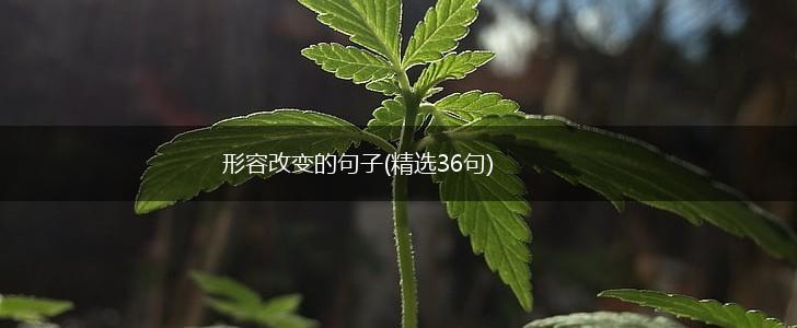 形容改变的句子(精选36句),第1张