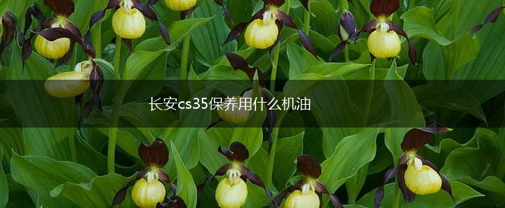 长安cs35保养用什么机油,第1张