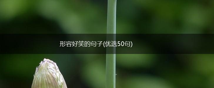 形容好笑的句子(优选50句),第1张