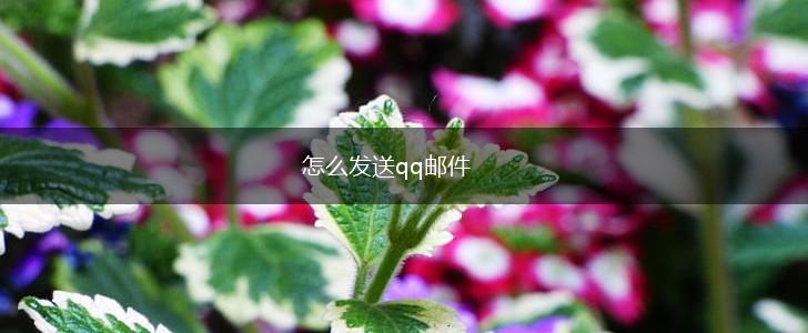 怎么发送qq邮件,第1张