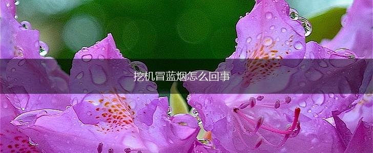 挖机冒蓝烟怎么回事,第1张