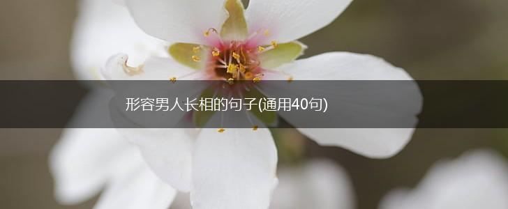 形容男人长相的句子(通用40句),第1张