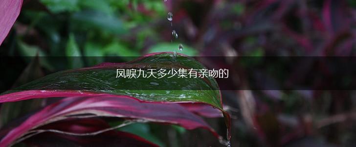 凤唳九天多少集有亲吻的,第1张
