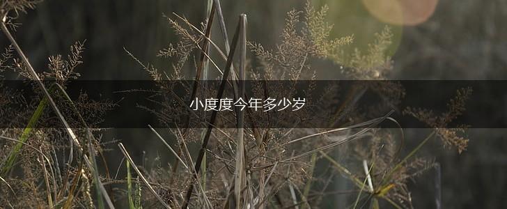 小度度今年多少岁,第1张