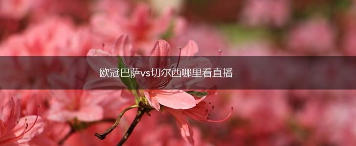 欧冠巴萨vs切尔西哪里看直播,第1张