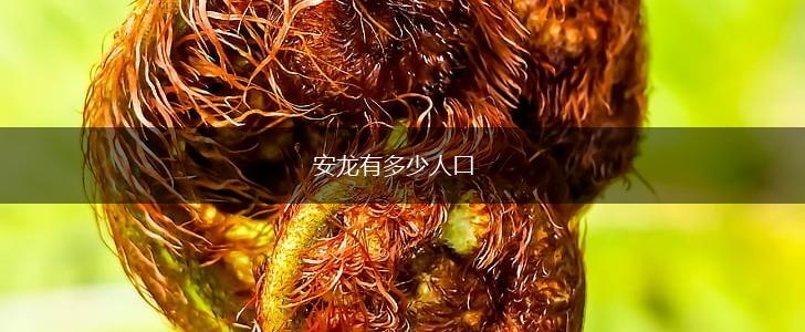 安龙有多少人口,第1张