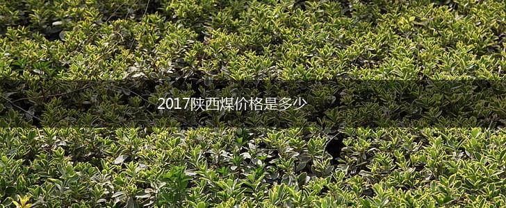 2017陕西煤价格是多少,第1张