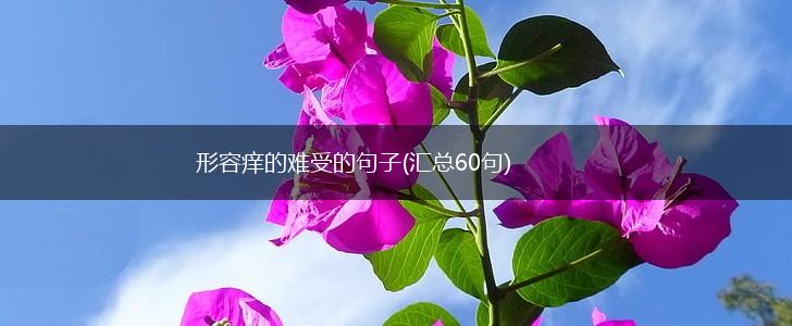 形容痒的难受的句子(汇总60句),第1张