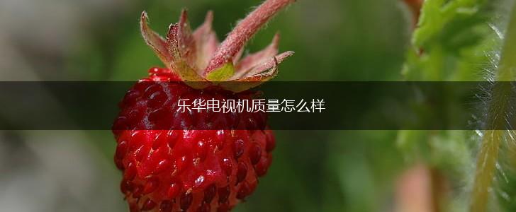 乐华电视机质量怎么样,第1张