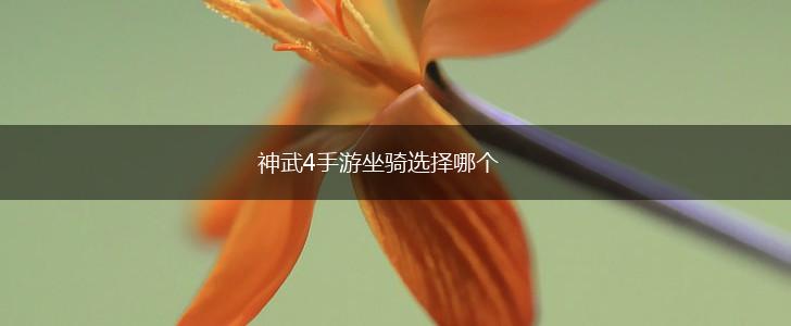 神武4手游坐骑选择哪个,第1张