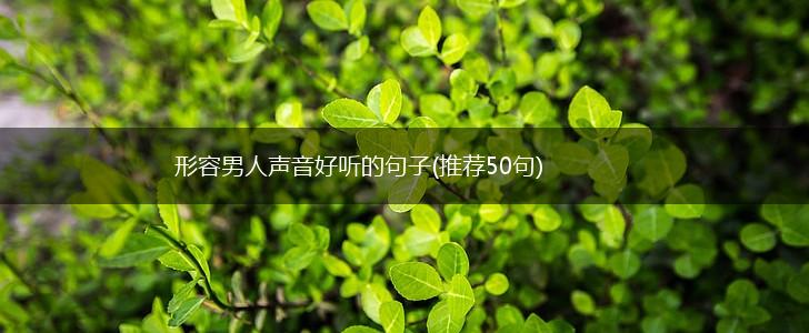 形容男人声音好听的句子(推荐50句),第1张