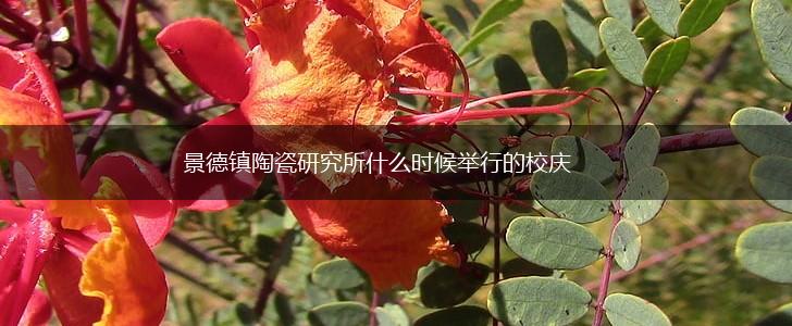 景德镇陶瓷研究所什么时候举行的校庆,第1张