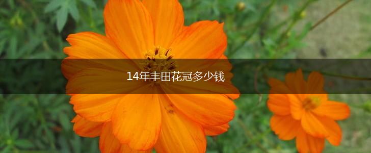 14年丰田花冠多少钱,第1张