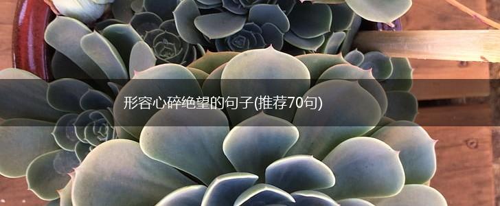 形容心碎绝望的句子(推荐70句),第1张