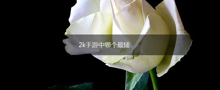 2k手游中哪个最矮,第1张
