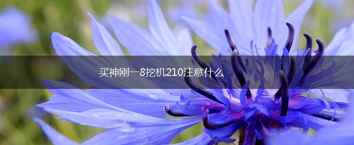 买神刚一8挖机210注意什么,第1张