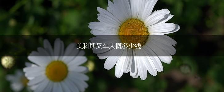 美科斯叉车大概多少钱,第1张