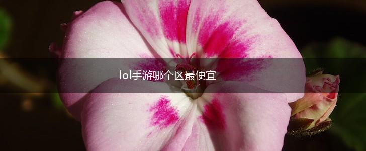 lol手游哪个区最便宜,第1张