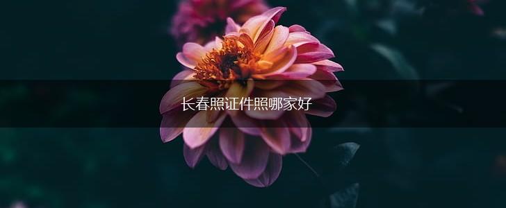 长春照证件照哪家好,第1张