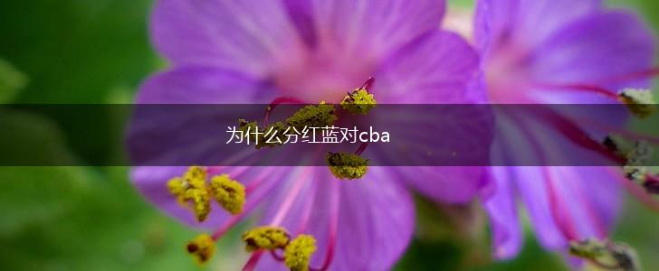 为什么分红蓝对cba,第1张