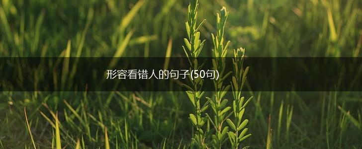 形容看错人的句子(50句),第1张