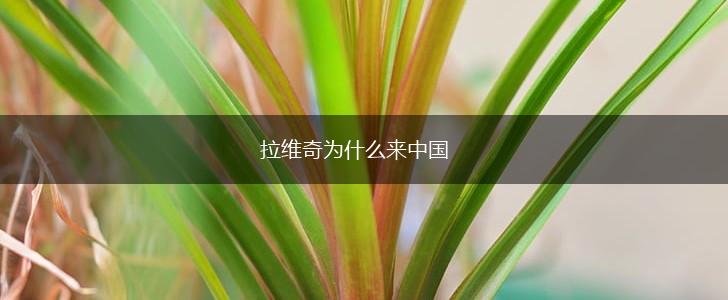 拉维奇为什么来中国,第1张