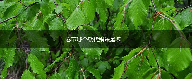 春节哪个朝代娱乐最多,第1张