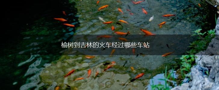榆树到吉林的火车经过哪些车站,第1张