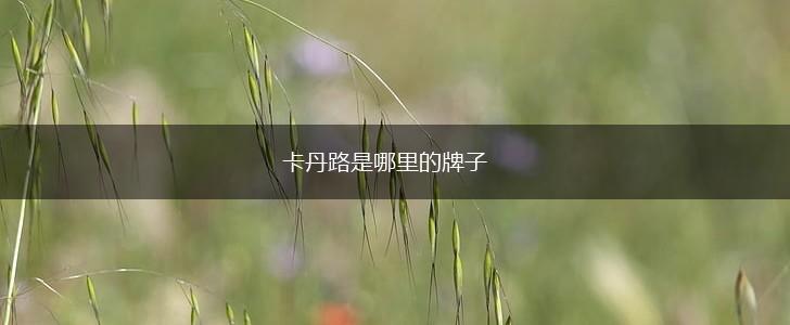 卡丹路是哪里的牌子,第1张