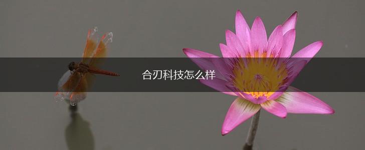 合刃科技怎么样,第1张
