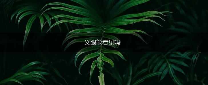 义眼能看见吗,第1张