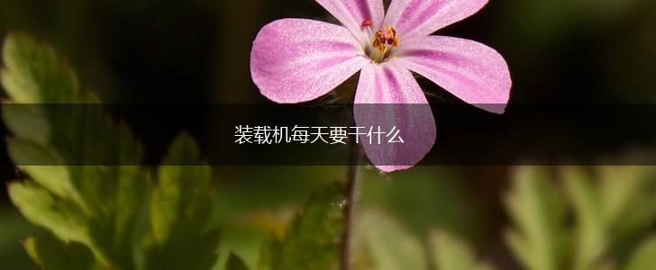 装载机每天要干什么,第1张