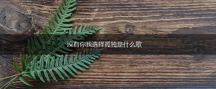 没有你我选择孤独是什么歌,第1张