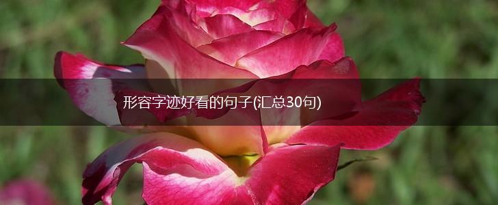 形容字迹好看的句子(汇总30句),第1张