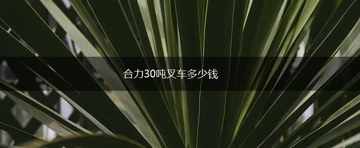 合力30吨叉车多少钱,第1张