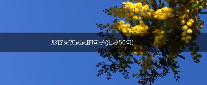 形容果实累累的句子(汇总50句),第1张