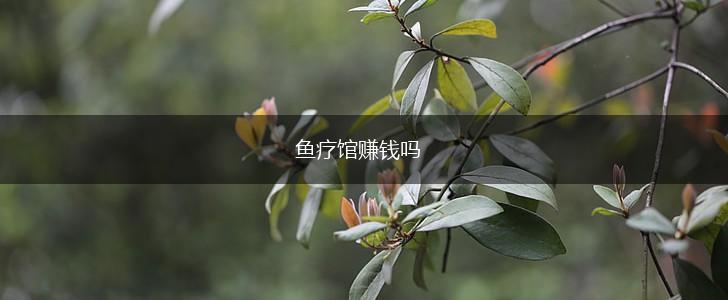 鱼疗馆赚钱吗,第1张