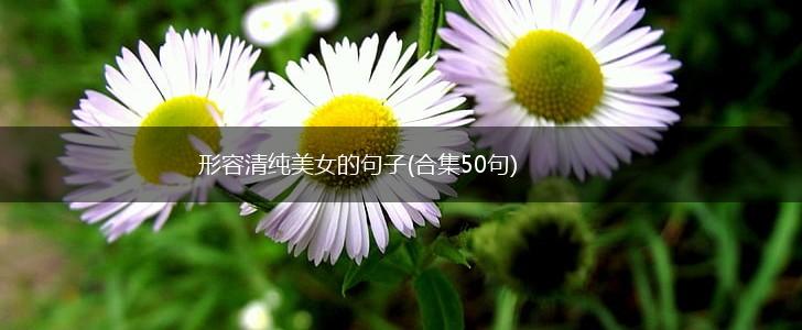 形容清纯美女的句子(合集50句),第1张