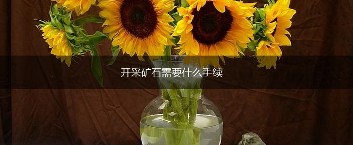 开采矿石需要什么手续,第1张