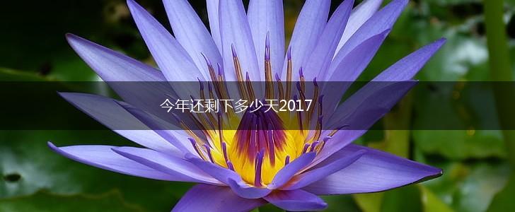 今年还剩下多少天2017,第1张