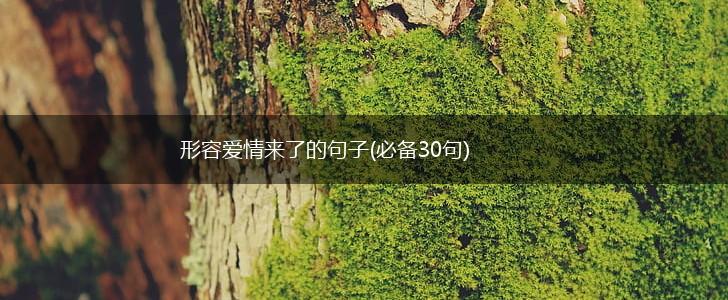 形容爱情来了的句子(必备30句),第1张